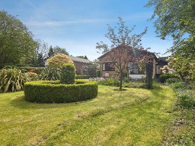 Picture 2